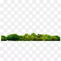 png图片剪辑艺术植物植被图像绿化日