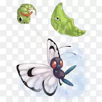 蝴蝶昆虫膜翅蝴蝶和蛾.蝴蝶