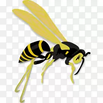 黄蜂西部蜜蜂剪贴画黄蜂