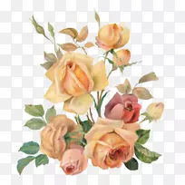 花园玫瑰土坯Photoshop剪贴画卷心菜png图片-棕色花朵