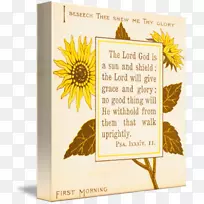 圣经书中常见的向日葵诗