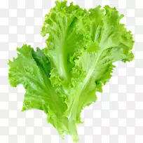 生菜叶菜色拉叶莴苣-蔬菜