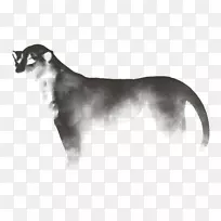 养猫狗