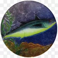 沙丁鱼动物群海豚海洋生物-乳鱼