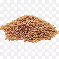 png图片有机食品谷物全谷物燕麦