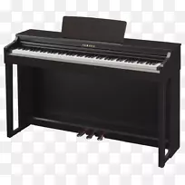 克拉维诺娃·雅马哈公司数字钢琴乐器-钢琴