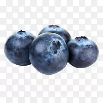 高山蓝莓果实
