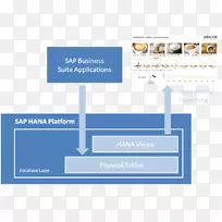 SAP Hana sap NetWeaver业务仓库sap se sap erp-内存中数据库-实时性能