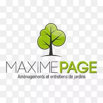 Madeira Apartamentos徽标物理疗法Paxis für ganzheitliche物理治疗品牌-超级视网膜