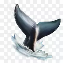 海豚雕像喙海豚