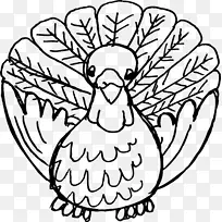 剪贴画火鸡肉图片感恩节-美丽的动物羽毛