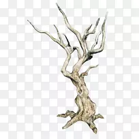 小枝剪贴画树png图片计算机图标.树