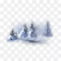 景观冬季图像png图片雪冬