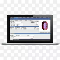 计算机程序珠宝耳环企业资源规划珠宝设计珠宝服装