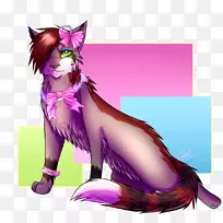 猫须猫狗-小猫