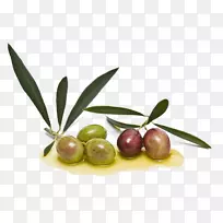 橄榄油调味品