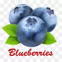 欧洲蓝莓、越橘、提拉米苏食品-蓝莓