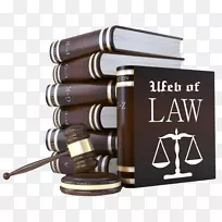 刑事辩护律师事务所律师考试律师