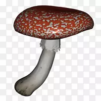 蘑菇png图片剪辑艺术图像设计.蘑菇
