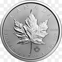 加拿大银枫叶加拿大金枫叶加拿大枫叶加拿大