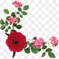 png图片剪辑艺术花卉图像花园玫瑰-花