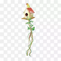 插画花盆植物茎叶