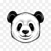 大熊猫图形熊插图绘制-熊
