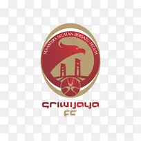 Sriwijaya fc梦想联赛2018年意甲联赛冠军联赛足球-足球