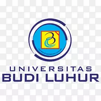布迪卢胡尔大学标志组织品牌-教育传单