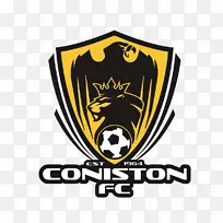 Coniston FC蓝山fc Coledale挥动fc足球俱乐部标志