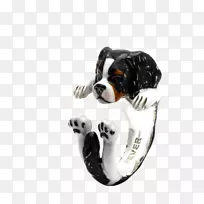 犬种骑士国王查尔斯猎犬小狗杰克罗素猎犬-小狗
