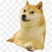 Shiba Inu dogecoin Doge运行图像-doge.png