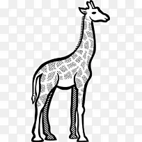 长颈鹿剪贴画线艺术图形绘制长颈鹿