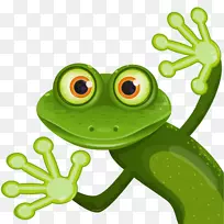 免费图形青蛙摄影插图-青蛙