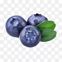 png图片蓝莓剪贴画图片水果蓝莓
