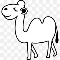 骆驼野生动物插图黑白相间的骆驼