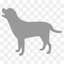 拉布拉多猎犬繁殖小狗运动团体-小狗