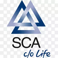 标志产品SCA平面设计广告-匿名图标