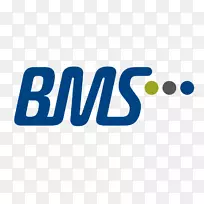 BMS MaschinenFabrik GmbH标志产品设计商业字体-BMS标志
