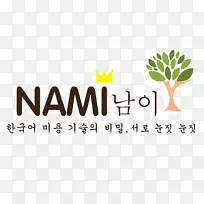 标志品牌产品设计字体-NAMI