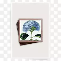 本花园‘蓝色绣球花’饰品托盘-蓝色绘画法国绣球花画框-绣球花