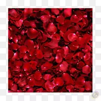 桌面壁纸玫瑰花图片红玫瑰