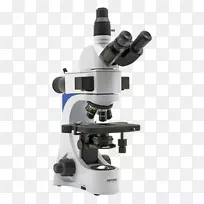 光学显微镜荧光显微镜光学