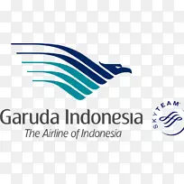 加鲁达印尼标志SkyTeam飞机品牌-飞机