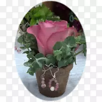 花园玫瑰，小花盆，卷心菜，玫瑰，富勒顿花卉设计-花盆