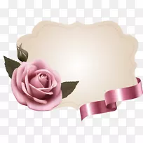 花园玫瑰粉红色纸花相框