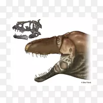 惧龙古生物-恐龙