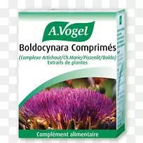 开花植物Vogel肝胆囊滴落品牌花