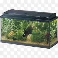 埃海姆水族馆水过滤器容积-Akvarium