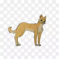 胡须猫狮子狗品种-猫